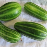 Salate od krastavca u soku od paradajza: sjajni recepti za zimnicu