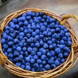 Mjesečina od trna (trna) kod kuće: recepti za kuhanje