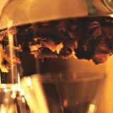 Moonshine na chagi: recepti za kuhanje, pravila primjene, recenzije