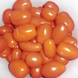 Standardni paradajz za otvoreno tlo - najbolje sorte