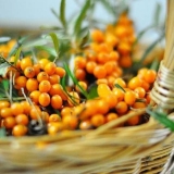 Sok od morske krkavine: 9 recepata za zimnicu