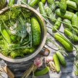 Kiseli krastavci sa fermentacijom (zalutali, fermentisani) za zimu: najbolji recepti za teglu od 1,3 litre