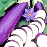 Patlidžan sorta banane