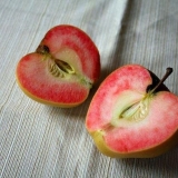 Sorta jabuke roze biser