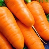 Sorta šargarepe shantane: opis, fotografije i recenzije