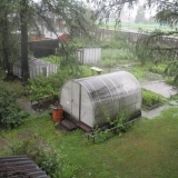 Sorte dugih krastavaca za staklenik