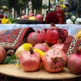 Sorte nara sa fotografijama i opisima