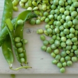 Sorte i vrste graška: šta su, fotografije i imena