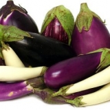 Sorte karpalnog patlidžana