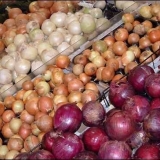 Sorte sevke pred zimu