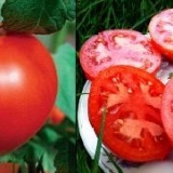 Sorte paradajza za centralnu rusiju