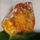 Borova smola: šta je to