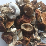 Umak od vrganja: za meso, tjesteninu, recepti sa fotografijama