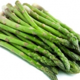 Špargle: šta je to, fotografije šparoga, vrste i sorte