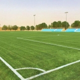 Sportski travnjak: opis, sastav mješavine i karakteristike