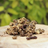 Rok trajanja propolisa