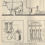 Mašina za mužu krava uradi sam