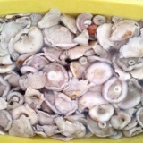 Suhe mliječne pečurke (bijeli preljevi) za zimu: recepti za kuhanje