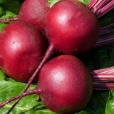 Stolna vetruška f1: opis sorte, fotografije, recenzije