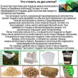 Temperatura u posudi za prepelice - kakva bi trebala biti