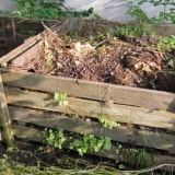 Termonuklearno sazrijevanje komposta: preparati i narodni lijekovi