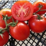 Završna obrada paradajza: karakteristike i opis sorte