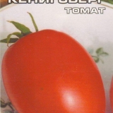 Tomato koenigsberg