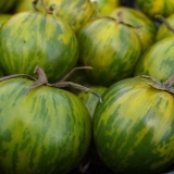 Kutija od malahita rajčice: karakteristike i opis sorte