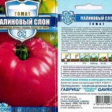 Paradajz raspberry elephant