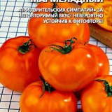 Paradajz marmelada: karakteristike i opis sorte