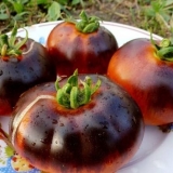 Crna rajčica: karakteristike i opis sorte