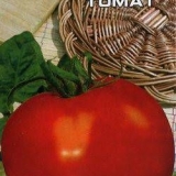 Paradajz nikola: recenzije + fotografije