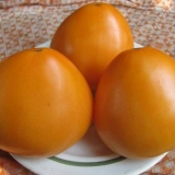 Paradajz narandžasto srce: recenzije, fotografije