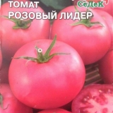 Ružičasti lider paradajza: karakteristike i opis sorte