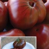 Smeđi šećerni paradajz: karakteristike i opis sorte