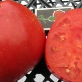 Šećerni bizon paradajz: recenzije, fotografije