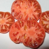 Šećer bizon paradajz