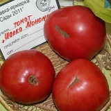 Monomah kap paradajz