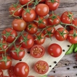 Slatki cherry paradajz