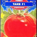 Tanja paradajz: karakteristike i opis sorte