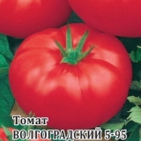 Paradajz volgograd 5-95: recenzije + fotografije