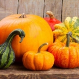 Ukrasna bundeva: fotografije i nazivi