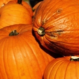 Dijeta od bundeve za mršavljenje i čišćenje organizma