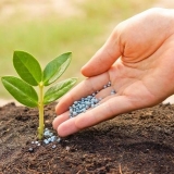 Gnojivo fertik: sastav, primjena