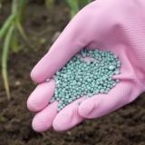 Nutrisol gnojivo: upute za upotrebu, sastav, recenzije