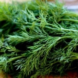 Kopar ruski gigant: recenzije, fotografije