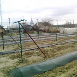 Sklonište grožđa za zimu u sibiru