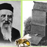 Košnica dadan uradi sam