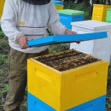 Košnica ppu uradi sam