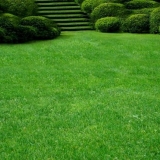 Uređaj za sjetvu travnjaka: tehnologija i njega